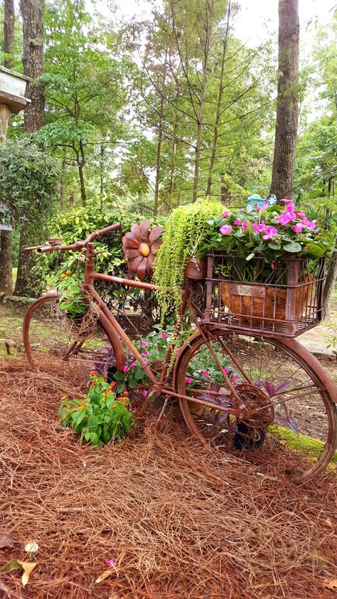 Vintage Bike Garden Decor, Bicycle Flower Planter, Old Bicycles Ideas Garden Art, Bicycle Garden Decor, Bike Garden Decor Old Bicycle, Old Bicycle Garden Ideas, Bike In Garden, Bicycle Planter Ideas, Garden Bicycle