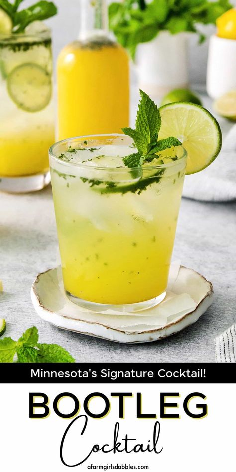 Mint Cocktails Vodka, Mint Cocktail Recipes, Lime Vodka Drinks, Mint Drink Recipe, Porch Drinks, Lime Cocktail Recipes, Lemon Cocktail Recipes, Lemon Cocktails, Citrus Party