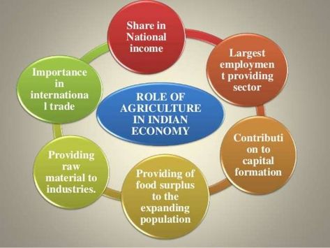 Role Of Agriculture in Indian Economy Agriculture In India, Indian Agriculture, History Of Agriculture, Importance Of Agriculture, Future Of India, Wild Quotes, Sugar Industry, Agriculture Projects, Indian Economy