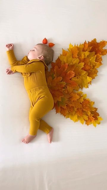 Baby Autumn Photoshoot, Newborn Autumn Photography, Fall Theme Baby Photo Shoot, Butterfly Baby Photoshoot, Baby Autumn Photography, Fall Pictures Baby, November Baby Photoshoot, Autumn Baby Photoshoot, Fall Infant Photoshoot