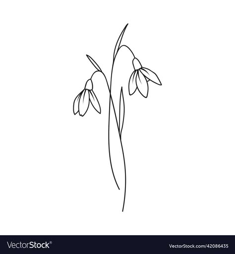 Snow Drop Line Drawing, January Birth Month Tattoo, Snow Drops Drawing, Snow Drop Flower Tattoo Design, Snow Drop Flower Tattoos, Snowdrop Flower Tattoo Designs, Snow Drop Illustration, Snow Drop Flower Tattoo Small, Snow Drop Tattoo Design