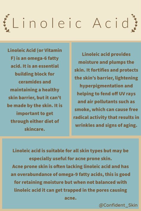 Arbutin Benefits For Skin, Pocket Dictionary, Ordinary Niacinamide, Skin Facts, Skin Advice, Natural Face Skin Care, Serious Skin Care, Skin Science, Skin Care Wrinkles