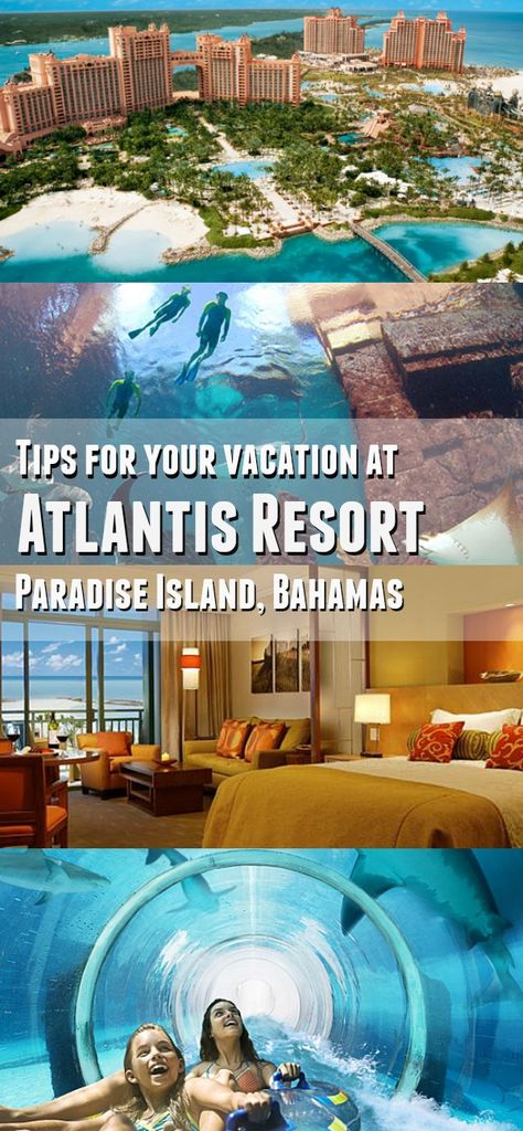 Plan your family vacation in the Caribbean at ATLANTIS! These Atlantis Resort in the Bahamas tips are great to know, this is the perfect tropical destination for family travel Atlantis Resort, Bahamas Honeymoon, Atlantis Bahamas, Bahamas Travel, Bahamas Vacation, Caribbean Resort, Couple Travel, Dream Places, Caribbean Travel