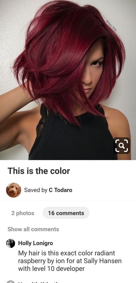 Red Hair Shoulder Length, Red Haircut, Haircut Ideas Trendy, Classic Bob Haircut, Hairstyle Ideas Easy, Chin Length Haircuts, Bob Haircut Ideas, Plum Hair, Hair 2022