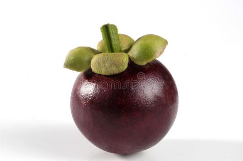 Mangosteen Fruit, Fruit Juice Packaging, Fruit Health, Juice Packaging, Fruits Images, Still Life Fruit, Tropical Climate, Food Packaging Design, Exotic Fruit