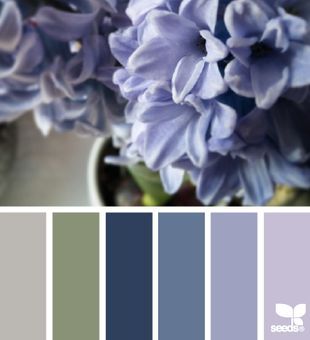 Hyacinth hues Color Schemes Design, Seeds Color, Design Seeds, Teds Woodworking, Green Life, Blue Design, Colour Schemes, Tiny Homes, Color Pallets