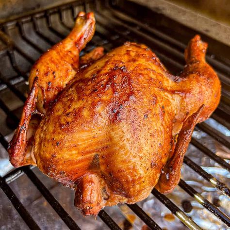 If you’re looking for a slight variation to a traditional smoked whole chicken or are trying to feed a smaller crowd, then smoked cornish hens are a fantastic way to go. Each of your dinner guests can have their own hen and this pairs well with any holiday meal. Let’s get smoking! | sipbitego.com Smoked Cornish Hens, Cooking Cornish Hens, Smoked Dishes, Smoked Whole Chicken, Pizza Pasta Recipe, Brisket Flat, Traeger Smoker, Cornish Hen Recipe, Sous Vide Steak