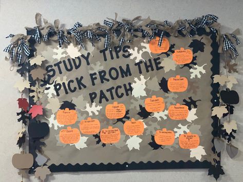 A study tip board more particular for the fall semsyer you are in filled with cut out leaves and written notes on the pumpkins. String decor handmade with string, hanging off being cut out leaves, acors, and pumpkins. Top of if, own perisnal decor to add a nice touch. Ra Bulletin Boards Fall, Ra Bulletin Board Ideas, Health Bulletin Boards, Ra Themes, Door Decks, Ra Bulletins, Ra Boards, Ra Bulletin Boards, Fall Bulletin Boards