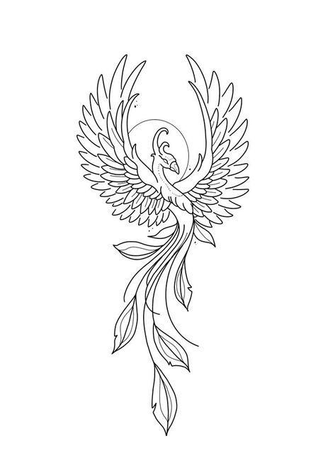 Phoenix Design Drawing, Feminine Pheonix Tattoo Design, Mystical Creature Tattoos, Feminine Tattoo Stencil, Tattoo Phoenix Femme, Phoenix Art Drawing, Phoenix Tattoo Design Feminine, Phoenix Stencil, Phoenix Outline