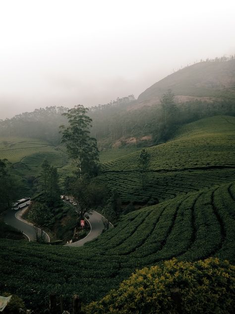 Munnar Hill Station, Munnar Photography Travel, Munnar Aesthetic, Vattavada Munnar, Munnar Photography Kerala, Munnar Photography, Travel Guide Book Design, Kashmir Trip, Blurred Aesthetic