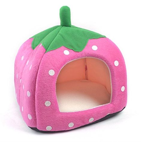 Hamster Bedding, Small Pet Bed, Guinea Pig House, Pig House, Guinea Pig Bedding, Guinea Pig, Small Animal Cage, Cat Dander, Cat Food Storage