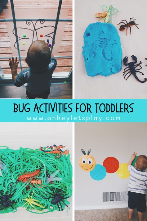 Bug Activities For Toddlers, Preschool Bug Crafts, Frog Activities, Bug Activities, Dr Seuss Activities, Butterflies Activities, Insect Activities, Play Based Learning Activities, Insect Crafts