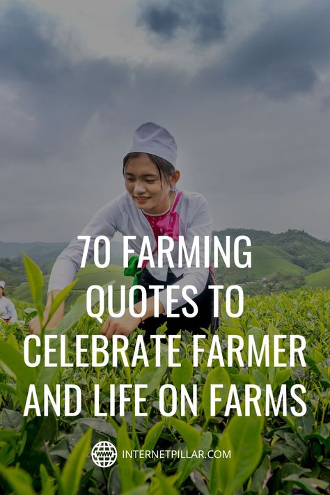 Planting Season Farming Quotes, Farmer Sayings Quote, Farmer Appreciation Quotes, Bible Verse About Farming, Farmers Quotes Inspiration, Quotes About Homesteading, Simple Farm Life Quotes, Quotes About Farm Life, Quotes About Agriculture