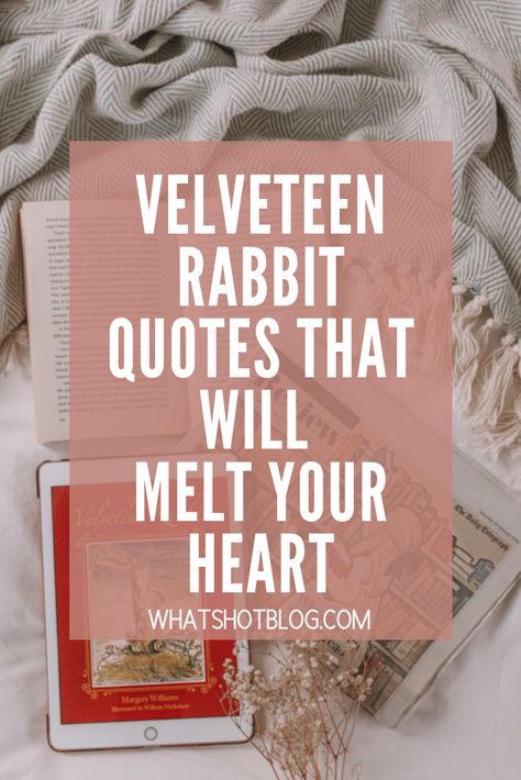 Velveteen Rabbit Nursery, The Velveteen Rabbit Quotes, Rabbit Quotes, Quotes From Childrens Books, The Velveteen Rabbit, Famous Book Quotes, Bunny Quotes, Rabbit Book, Velveteen Rabbit