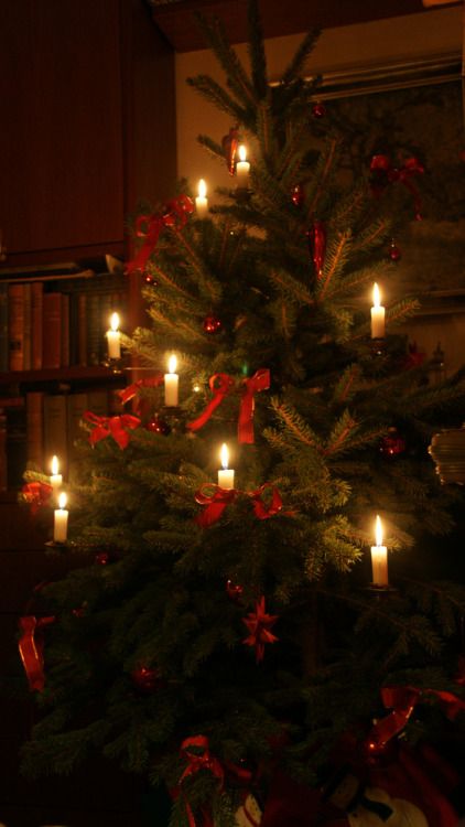 Tree With Candles, Natal Country, Joulun Aika, Real Candles, Cozy Candle, Tree Candles, English Christmas, Christmas Dreaming, Tree Candle