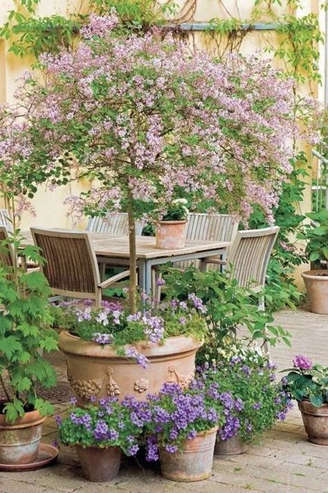 Practical ideas for an amazing small garden | My desired home Cottage Gardens, Small Flower Gardens, Creative Gardening, Tanaman Pot, Old Garden, Small Courtyard Gardens, Courtyard Gardens Design, Cottage Garden Design, Garden Types