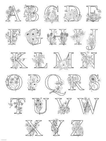 size: 12x9in Art Print: Floral Alphabet A to Z by Heather Rosas : Cricut Monogram Font, Wedding Fonts Calligraphy, Alphabet A To Z, Floral Monogram Letter, Alphabet Art Print, Wedding Invitation Fonts, Free Calligraphy Fonts, Floral Alphabet, Modern Calligraphy Fonts