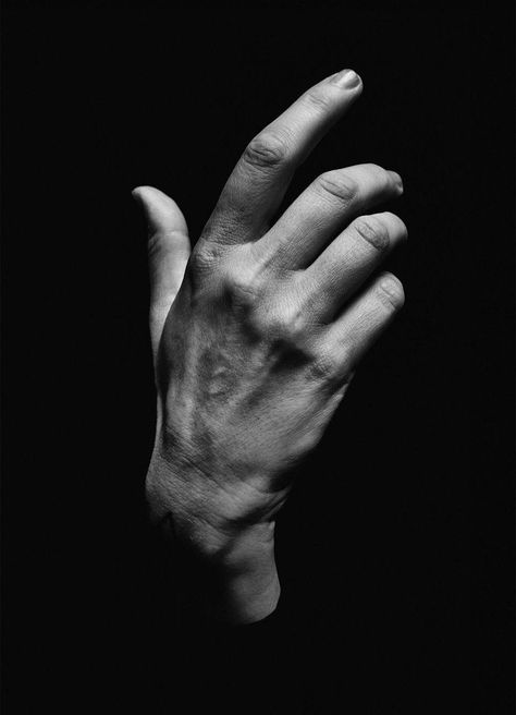 hands photography. Hand Fotografie, Hand Photography, Hand Drawing Reference, Photographie Portrait Inspiration, Body Photography, Hand Reference, Human Reference, 인물 드로잉, Anatomy Drawing