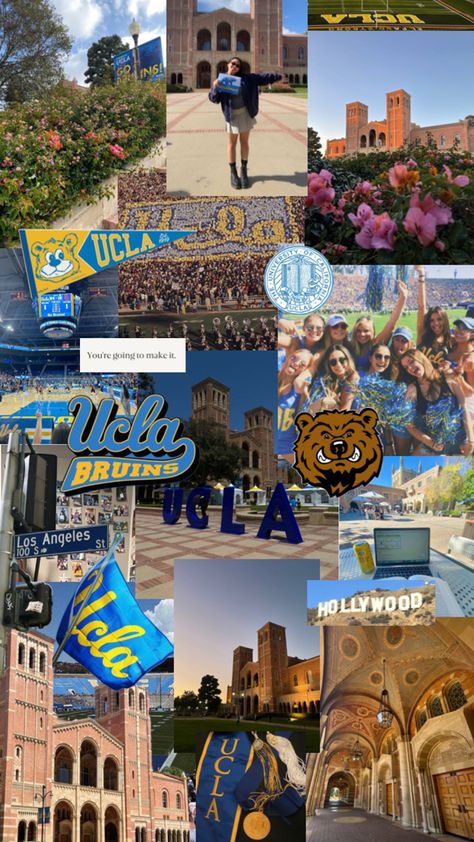 Ucla Dorm, Ucla College, Ucla University, University Inspiration, College Usa, College Vision Board, Law School Inspiration, Usa University, College Motivation