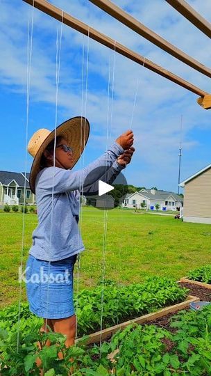 947K views · 11K reactions | String Method Of Growing Tomato Plants
Vertical Gardening
#growyourownfood #veggiegarden #tomatoes #trellis | Kabsat | Kabsat · Original audio Tomato Trellis, Growing Tomato Plants, Diy Trellis, Tomato Plants, Growing Tomatoes, Garden Trellis, Grow Your Own Food, Veggie Garden, Vertical Garden