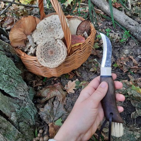 Mushroom Knife, Hunter Aesthetic, Mushroom Hunting, Knife Gifts, Mushroom Fungi, Into The Woods, Fixed Blade Knife, Hunting Knife, Horse Hair