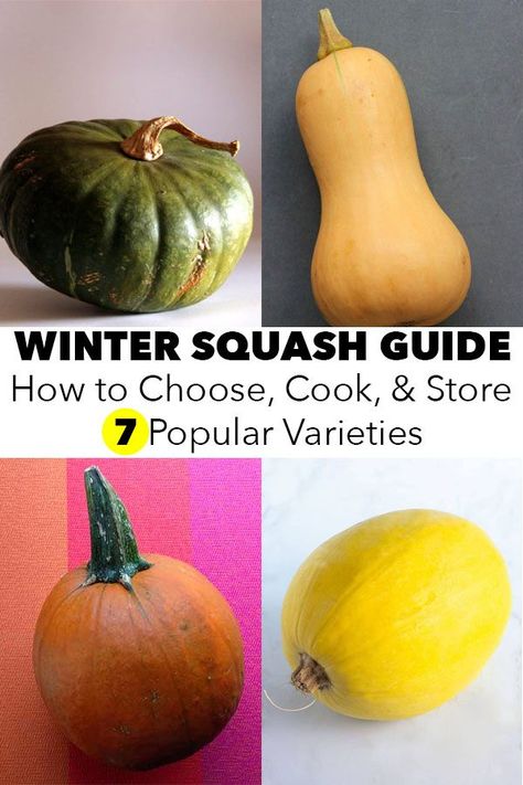 Different Types Of Squash Summer, How To Store Squash For Winter, Squash Varieties Chart, Squash Varieties Types Of, How To Cook Different Types Of Squash, Pumpkin Varieties Chart, Types Of Winter Squash, Types Of Squash Different, How To Cook Acorn Squash