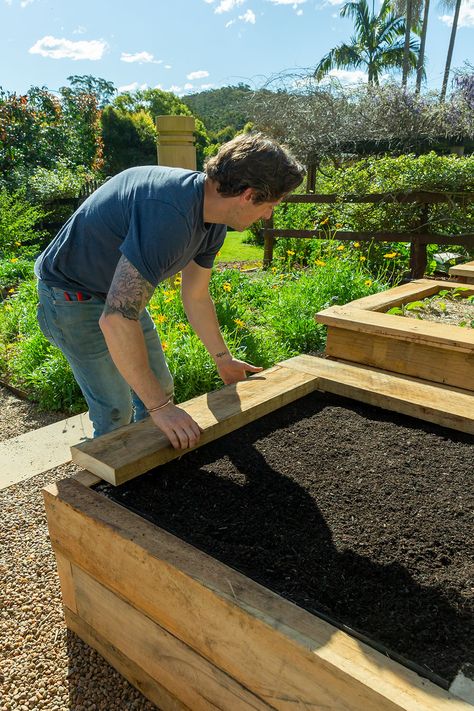 Creating Raised Garden Beds, Raised Garden Beds Beginner, Wooden Raised Beds Garden Ideas, Garden Design With Raised Beds, Wooden Raised Beds, Raised Beds On A Slope, Raised Bed Planting Ideas, Stone Garden Beds, Raised Garden Beds Along Fence