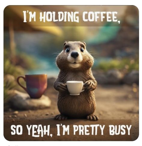 Kaffe Humor, Morning Coffee Funny, Coffee Jokes, Happy Day Quotes, Coffee Quotes Funny, Funny Coffee Quotes, Funny Good Morning Quotes, Morning Quotes Funny, Cute Good Morning Quotes