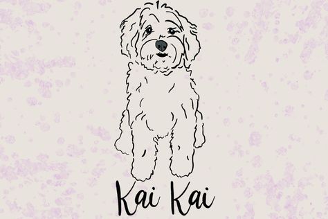 Maltipoo Drawing, Line Art Drawings Dog, Maltipoo Tattoo, Maltese Drawing, Poodle Tattoo, Poodle Drawing, Procreate Drawings, Minimal Drawing, Dog Outline