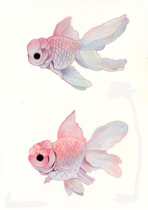 81. Art Mignon, Art Et Illustration, Dessin Adorable, 판타지 아트, Art And Illustration, Fish Art, Goldfish, Animal Illustration, Drawing Inspiration