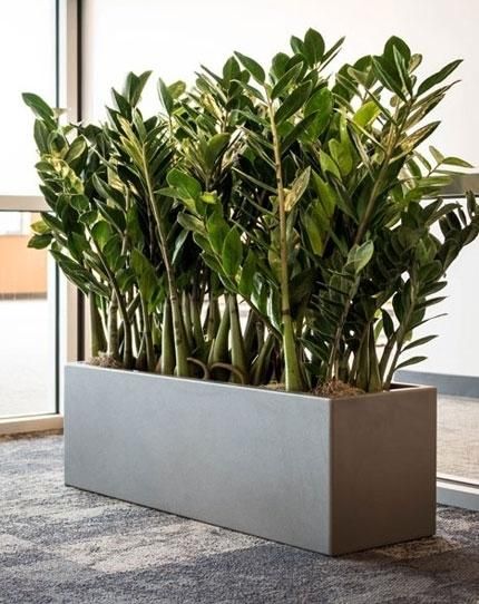 Indoor Planter Box, Long Planter, Big Planters, Rectangle Planters, Tanaman Pot, Plant Pot Decoration, Rectangular Planters, Garden Indoor, Flower Pots Outdoor