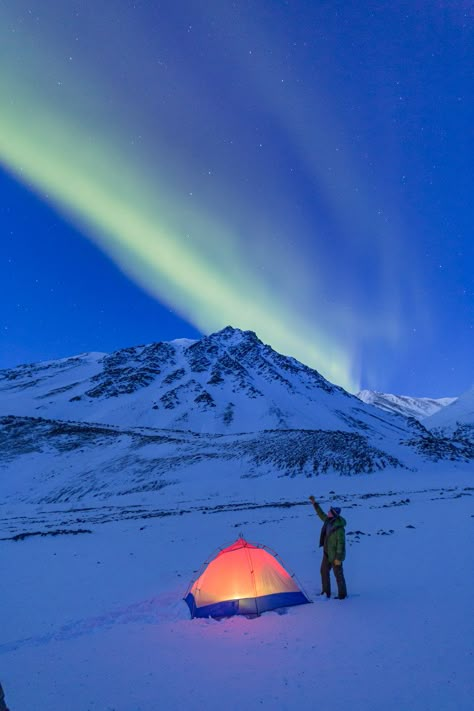 Antarctica Northern Lights, Antartica Northern Lights, Arctic Circle Alaska, Alaskan Christmas, Arctic Photography, Alaskan Honeymoon, Alaska In Winter, Aurora Alaska, Alaskan Northern Lights