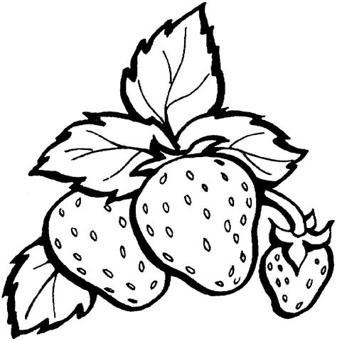 Strawberry Fruit Coloring Pages for Students | Educative Printable Strawberry Shortcake Coloring Pages, Strawberry Drawing, Vegetable Coloring Pages, Strawberry Color, Fruit Coloring Pages, Printable Crafts, Coloring Pages To Print, Art Drawings For Kids, Free Printable Coloring