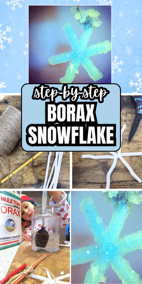 Holiday Kids Activities, Winter Stem Activities For Kids, Winter Preschool Activities, Snowflake Craft For Kids, Borax Snowflakes, Snowflakes For Kids, Snowflakes Science, Christmas Science Activities, Christmas Stem Activities