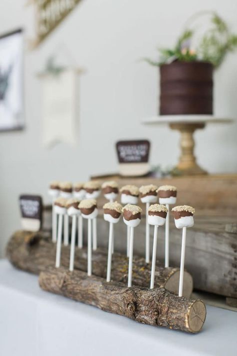 National Park Baby Shower Smores Pops #smorespops Park Baby Shower Ideas Outdoor, Baby Shower Ideas Outdoor, Park Baby Shower Ideas, Smores Pops, Camping Theme Birthday, Adventure Baby Shower, Park Birthday, Adventure Baby, Camping Party