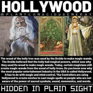 Found on iFunny Holly Trees, Ghostly Apparitions, Make Decorations, Holly Wood, Spiritual Psychology, Ancient History Facts, Sacred Science, Norse Goddess, Holly Tree