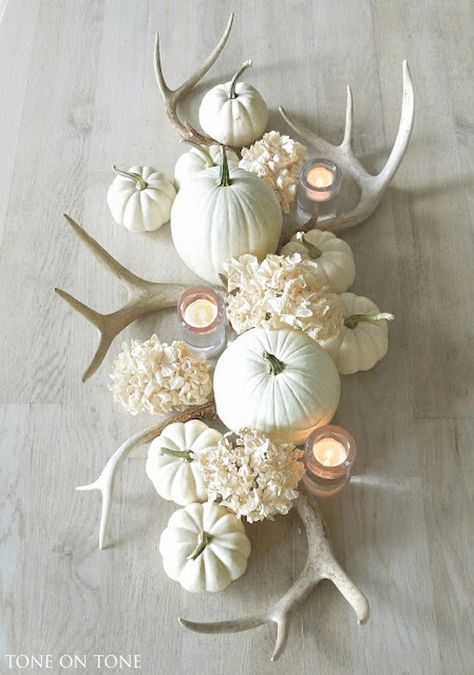 . Diy Antler, White Pumpkin Decor, Dekorasi Halloween, Tafel Decor, Fall Accents, Decor Studio, Decor Ikea, Fall Wedding Centerpieces, Thanksgiving Centerpieces