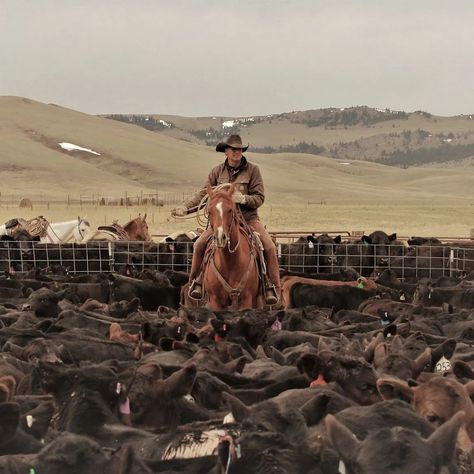 Dude Ranch Aesthetic, Ranch Hand Aesthetic, Ranching Aesthetic, Rancher Aesthetic, Heartless By Elsie Silver, Cade Eaton, Ranch Aesthetic, Dude Ranch Vacation, Ranch Cowboy