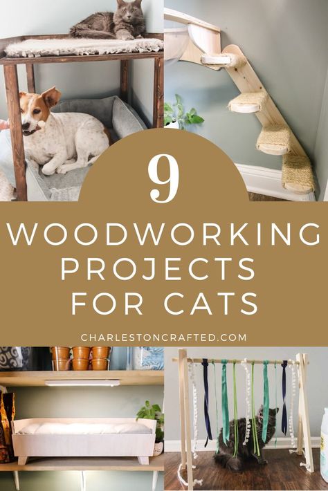 9 woodworking projects for cats Woodworking Projects For Pets, Diy Cat Stand, Ideas For Cats Diy Projects, Cats Diy Projects Craft Ideas, Cat Home Diy, Pet Furniture Cat Diy Projects, Pet Diy Projects, Cnc Machine Projects, Woodworking Plans Patterns