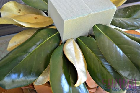 How+to+Make+a+Fall+Centerpiece+With+Magnolia+Leaves Magnolia Leaves Centerpiece, Magnolia Centerpiece, Diy Wainscoting, Diy Blanket Ladder, Magnolia Wreath, Magnolia Leaves, Crafts Kids, Floral Foam, Deco Floral