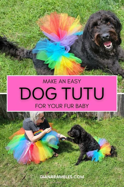 DIY Dog Tutu Tutorial Diy Dog Tutu No Sew, How To Make A Dog Tutu, Dog Tutu Diy, Diy Dog Outfits, Diy Dog Clothes, Tutu Pattern, Make A Tutu, Diy Tutu Skirt, Dog Tutu Dress