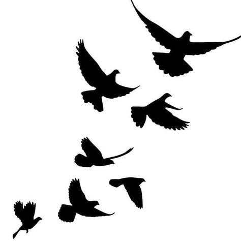 Birds Flying Tattoo Design, Black Bird Silhouette, Birds Tattoo Stencil, Birds Silhouette Flying, Flying Birds Drawing, Flying Birds Tattoo, Tattoo Black Women, Bird Silhouette Tattoos, Flying Bird Silhouette