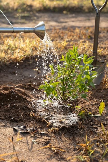 Watering Flowers Aesthetic, Person Watering Plants, Watering Plants Aesthetic, Singer Aesthetic, Watering Garden, Watering Flowers, Vacation 2024, Watering Plants, Secret Place