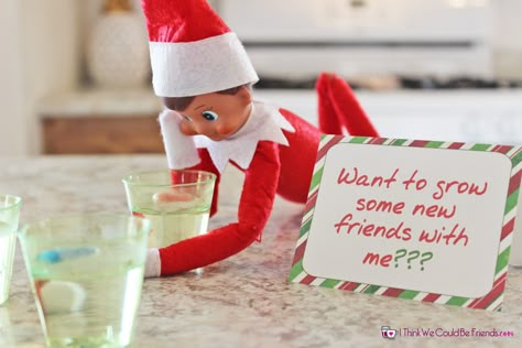 Elf On The Shelf Idea, Elf On Shelf, Elf Pets, Awesome Elf On The Shelf Ideas, Elf Magic, Xmas Elf, Elf Antics, Elf Fun, Christmas Puzzle