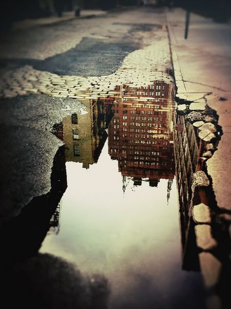 This is a pretty cool photograph that illustrates depth of field. The floor on the top appear to be darker than the lower level floors and the upper level floors also appear to be smaller.  It is also a super creative photograph b/c it is a reflection of the street. James Nachtwey, Reflection Photography, Affinity Photo, Foto Tips, Depth Of Field, City Photography, Urban Photography, Photography Inspo, Beautiful Photography