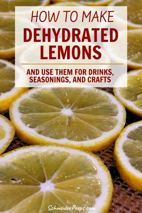 Uses For Dehydrated Lemons, Dehydrate Lemons In Dehydrator, Dehydrated Lemons In Dehydrator, Drying Lemons In Oven, Dehydrating Lemons In Dehydrator, Dehydrate Lemon Slices, Freeze Dried Lemons, How To Dehydrate Butter, Cosori Dehydrator Recipes