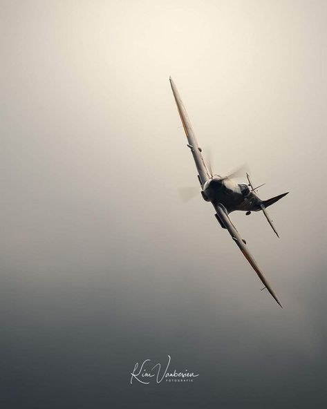 Aircraft Aesthetic, Air Force Pictures, Ww2 Fighter Planes, Luftwaffe Planes, New Ford Mustang, Propeller Plane, Aviation Museum, Airplane Wallpaper, Cars Brand