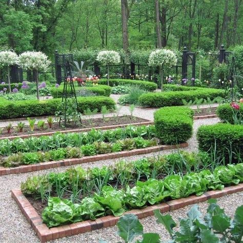 French Formal Garden, Vegetable Garden Planner, Raised Vegetable Gardens, Small Vegetable Gardens, Garden Layout Vegetable, Vegetable Garden For Beginners, Indoor Vegetable Gardening, Potager Garden, Backyard Vegetable Gardens