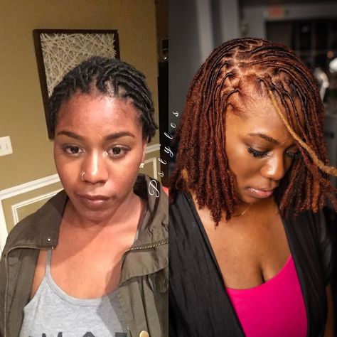 DMV Pro. Loctician Pstyles on Instagram: “Healthy colored locs by me @pstyles3 and @blacthunda . I started these locs three years ago. To achieve this color we did have to use…” Pretty Dreads, Colored Locs, Colored Dreads, Short Dreadlocks Styles, Leda Muir, Megan Good, Beautiful Dreadlocks, Short Locs Hairstyles, Lisa Bonet