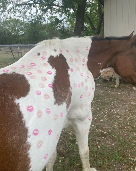 Moth Aesthetic, Buckle Bunny, Cowgirl Aesthetic, Vintage Americana, Cow Girl, صور مضحكة, White Horse, Horse Girl, Horse Riding